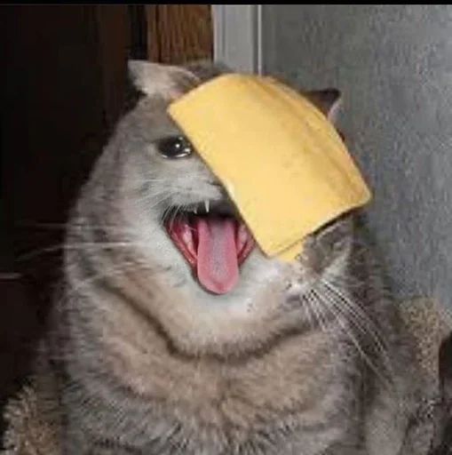 Стикеры только для @fkiska :: @fStikBot - 