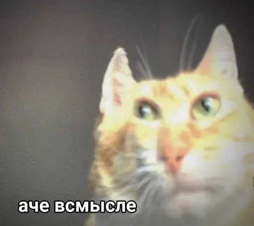 Sticker Стикеры только для @fkiska :: @fStikBot - 4