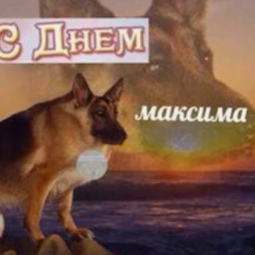 Sticker JJBA_congratulations - 1