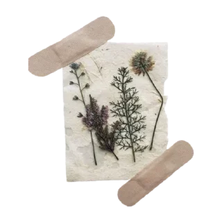 Sticker Больше стиков тут: @stikery4 - 6