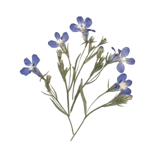 Стикер JJBHWNXBRJ_by_stikeri_stikeri_bot - 1