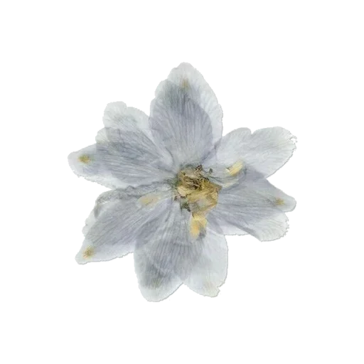 Больше стиков тут: @stikery4 - 