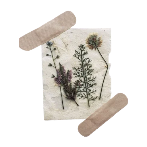 Sticker JJBHWNXBRJ_by_stikeri_stikeri_bot - 1