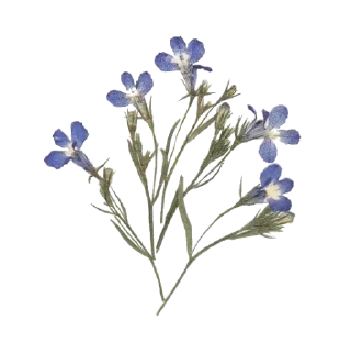 Sticker Больше стиков тут: @stikery4 - 11