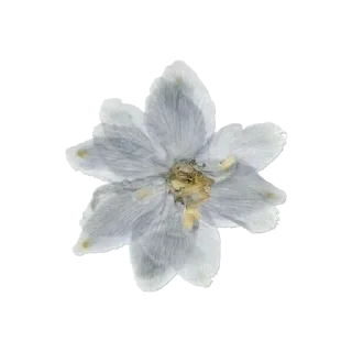 Sticker Больше стиков тут: @stikery4 - 10