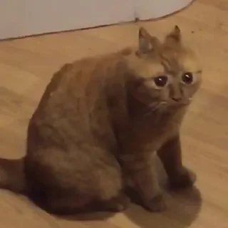 Стикер Больше стикеров: @sticerru - 8