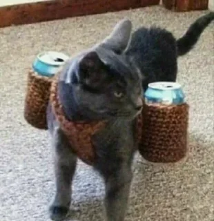 Стикер Больше стикеров: @sticerru - 3