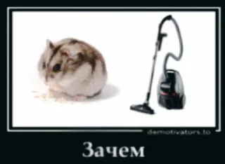 Стикер Больше стикеров: @sticerru - 10