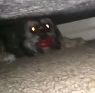 Стикер Больше стикеров: @sticerru - 7