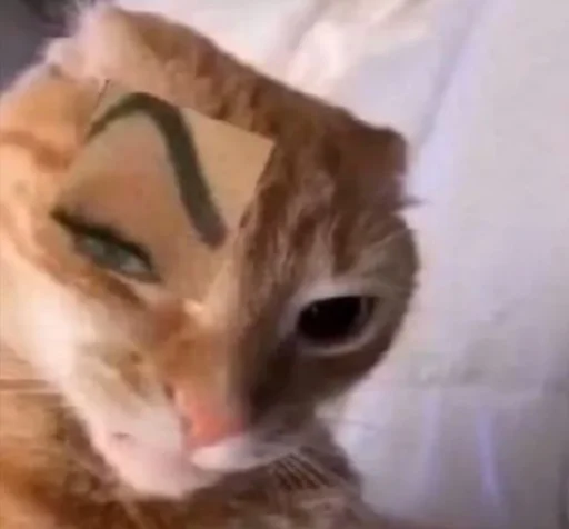 Стикер JOKKHMLXOU_by_moyi_stikery_bot - 1