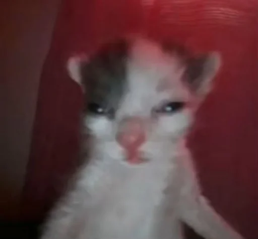 Пак создан в @moyi_stikery_bot - 