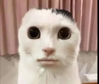 Стикер Пак создан в @moyi_stikery_bot - 9