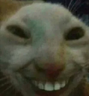 Стикер Пак создан в @moyi_stikery_bot - 6