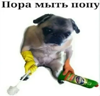 Стикер Пак создан в @moyi_stikery_bot - 2