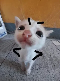 Стикер Пак создан в @moyi_stikery_bot - 4