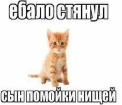 Больше стиков тут: @stikery4 - 