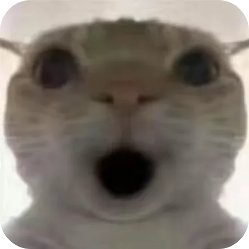 Sticker JOwRkjY_by_achestickbot - 1