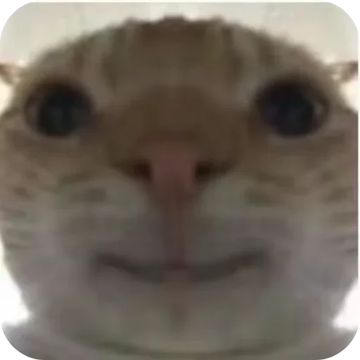 Sticker JOwRkjY_by_achestickbot - 1