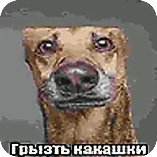 Sticker JOwRkjY_by_achestickbot - 1