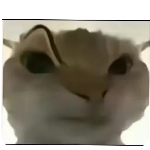 Sticker JOwRkjY_by_achestickbot - 1