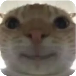 Sticker Больше стиков тут: @stikery4 - 7