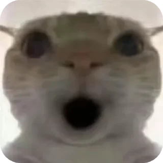 Sticker Больше стиков тут: @stikery4 - 8