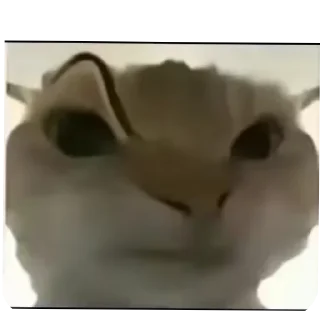 Sticker Больше стиков тут: @stikery4 - 2