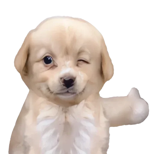 Sticker JPPKjyA_by_achestickbot - 1