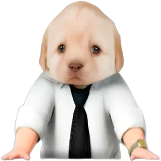 Стикер Больше стиков тут: @stikery4 - 2