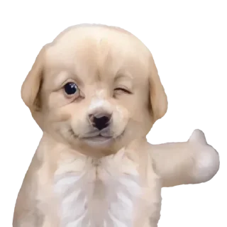 Стикер Больше стиков тут: @stikery4 - 10