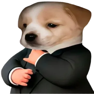 Стикер Больше стиков тут: @stikery4 - 11