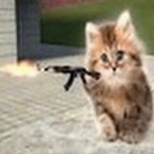 Sticker JQBckhv_by_achestickbot - 1