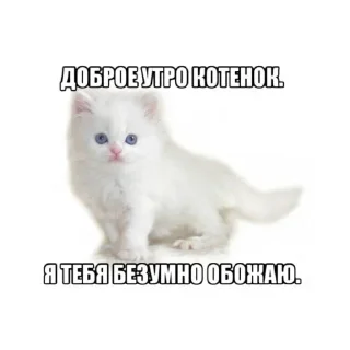 Стикер Больше стиков тут: @stikery4 - 5