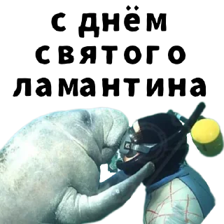 Стикер Больше стиков тут: @stikery4 - 8