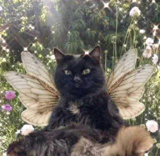 Sticker Больше стиков тут: @stikery4 - 2