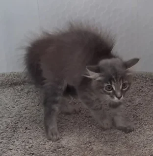 Sticker Больше стиков тут: @stikery4 - 11