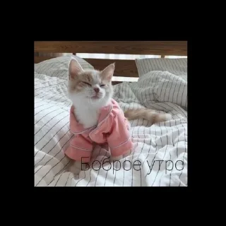 Sticker Больше стиков тут: @stikery4 - 9