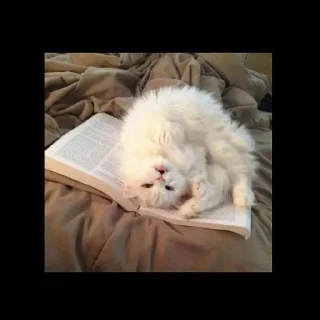 Sticker Больше стиков тут: @stikery4 - 3