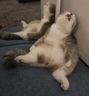 Sticker Больше стиков тут: @stikery4 - 1