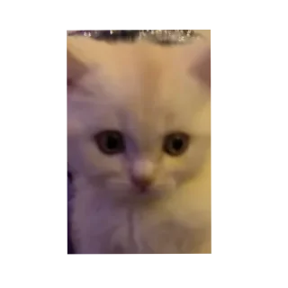 Sticker Больше стиков тут: @stikery4 - 8