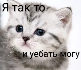 Sticker Стики 4253 из @Anonymnyi_chat_bot - 2