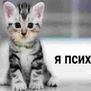 Sticker @sticksbb 🩷 <- канал со стиками - 0