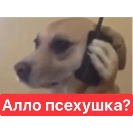 Sticker JUi_Dj5kk6_by_sticker0020Bot - 1