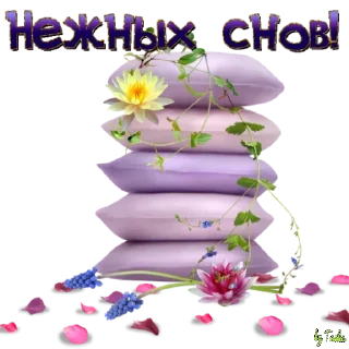 Sticker JUi_Dj5kk6 - 10