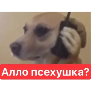 Sticker JUi_Dj5kk6 - 8