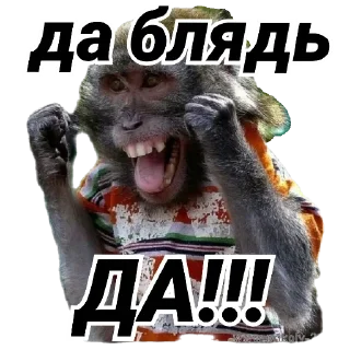 Sticker JUi_Dj5kk6 - 2