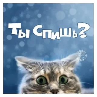 Sticker JUi_Dj5kk6 - 11