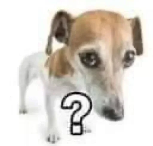 Sticker JWRrtme_by_stickers_stealer_bot - 1