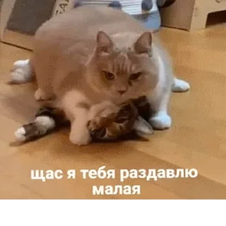 Стикер @sticksbb 🩷 <- канал со стиками - 8