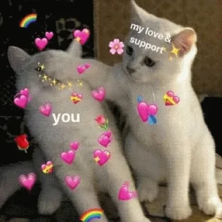 Стикер @sticksbb 🩷 <- канал со стиками - 0